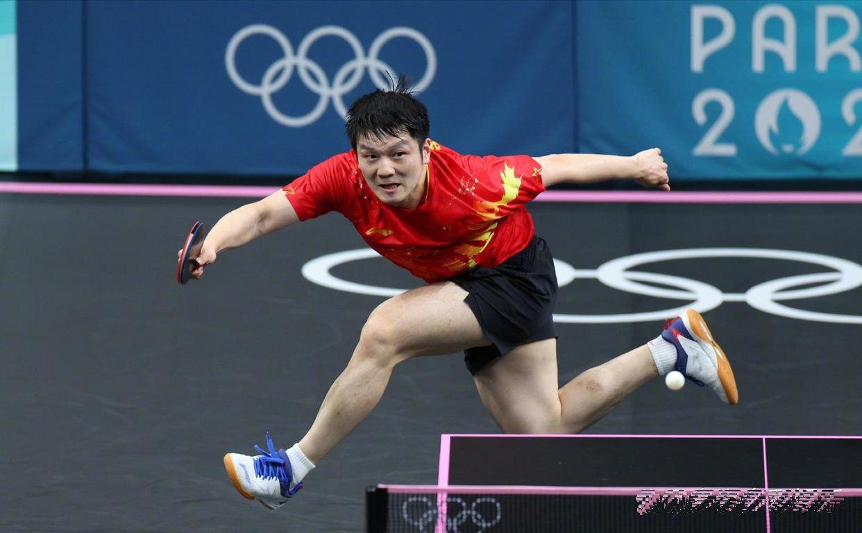 韩国乒乓球队横扫奥地利乒乓球队，樊振东关键制胜