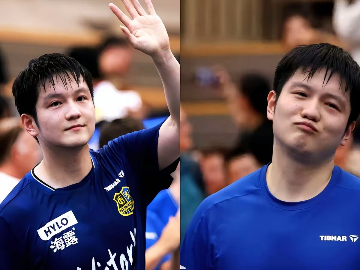 德国队力克瑞典队，樊振东惊艳四座