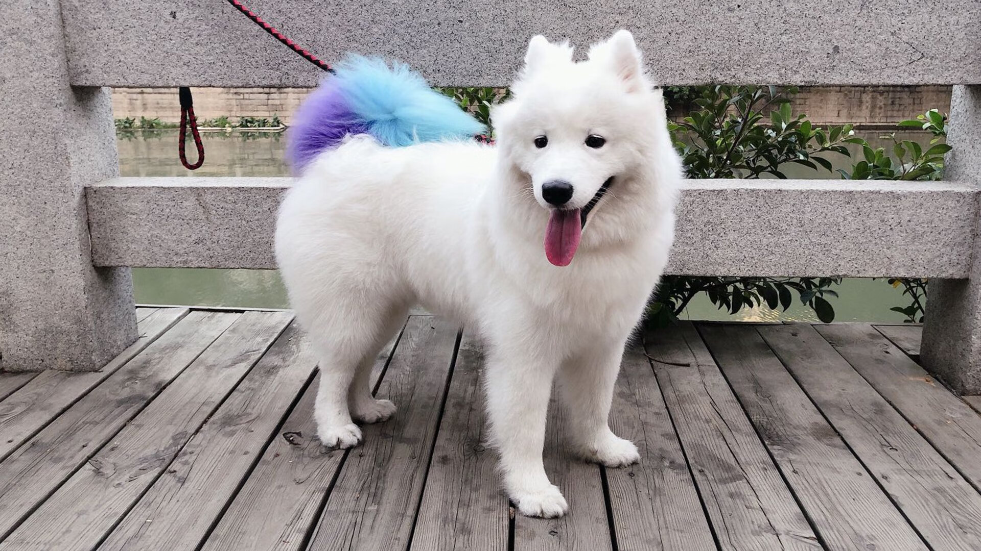 东决关键战之夜，C罗持续制造杀伤